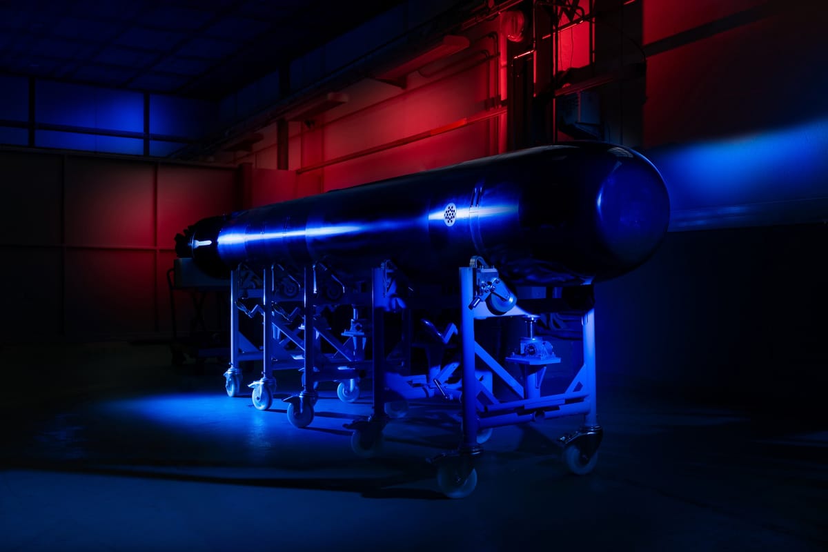 Naval Group Secures F21 Torpedo Contract for Dutch Navy's Orka Submarines