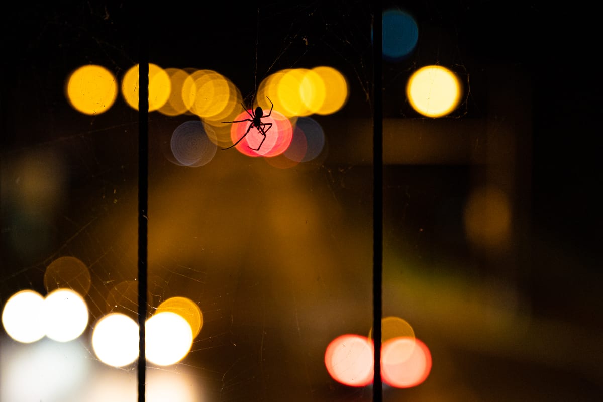 Early Scattered Spider Member Pleads Guilty, Facing $17.6 Million Forfeiture