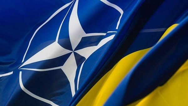 Sweden's Strategic Investment in Ukraine's NATO Aspirations