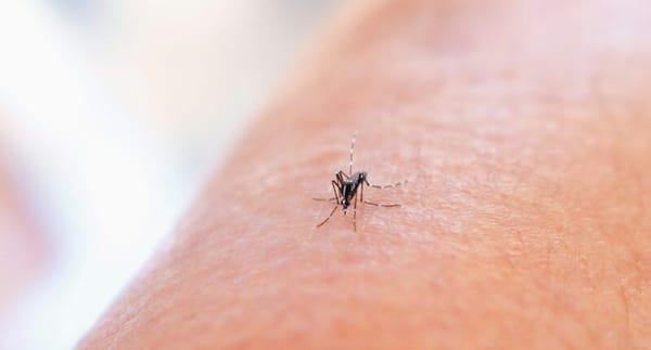 AI-Powered Mosquito Traps Enhance Malaria Detection for US Army