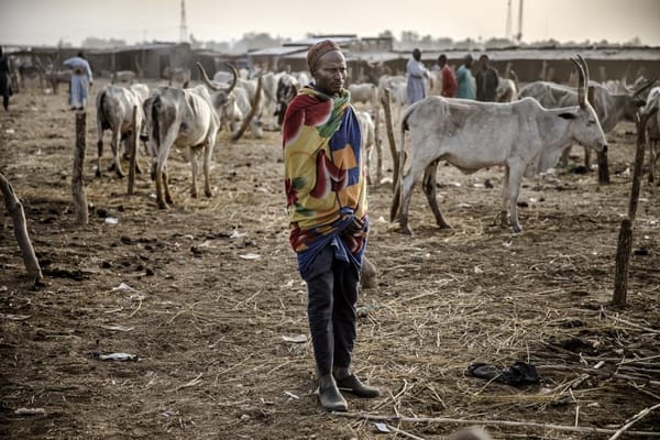Gunmen Target Farmers in Northwestern Nigeria, Killing 17