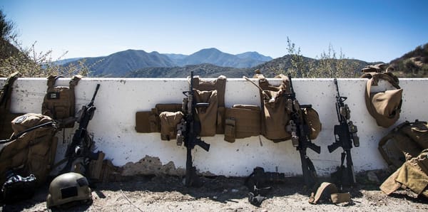 U.S. Marine Corps orders 14 MRADR systems and seeks 3D body armor scanners